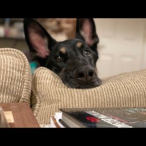 Meet your Posher, Blake